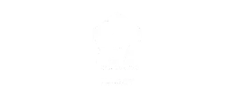 Logo era website